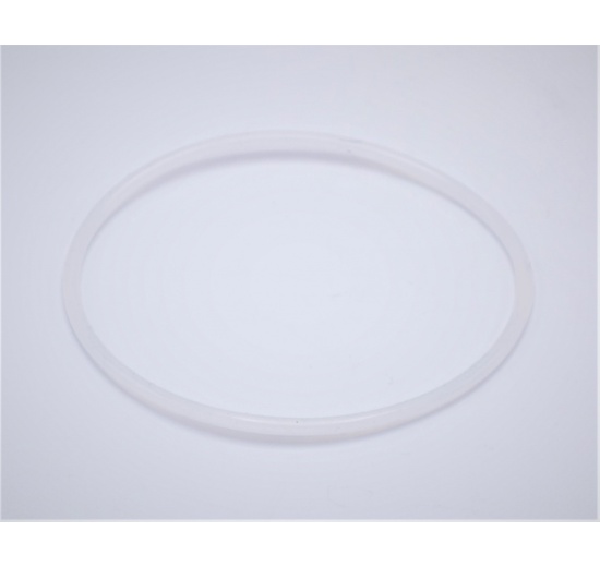 Náhradní O-kroužek pro vnitřní válcový filtr DN65, materiál silikon (VMQ)